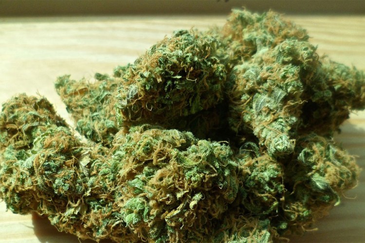 Uhapšeni zbog krijumčarenja oko 352 kilograma marihuane