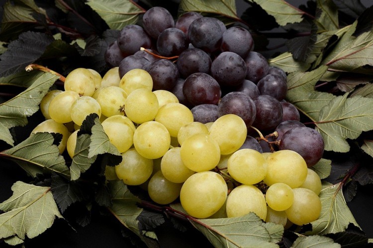 U Srpsku zabranjen uvoz grožđa iz Albanije