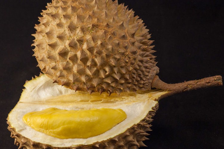 Singapurski naučnici od durijana prave zavoje