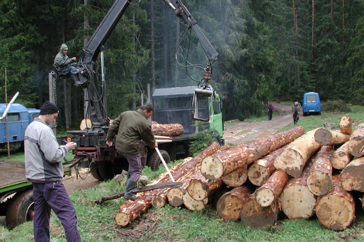 Srpska ne da svoje šume