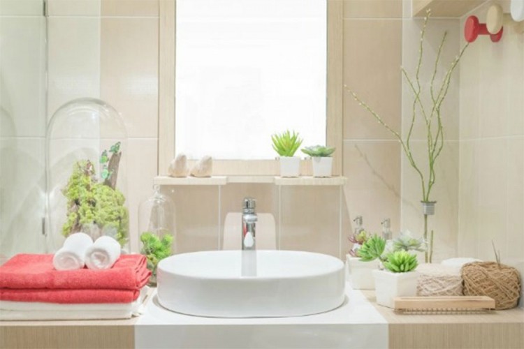 Dokazi da je i kupatilo savršeno mjesto za biljke