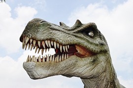 Na plaži u Engleskoj otkrili dvije nove vrste dinosaurusa