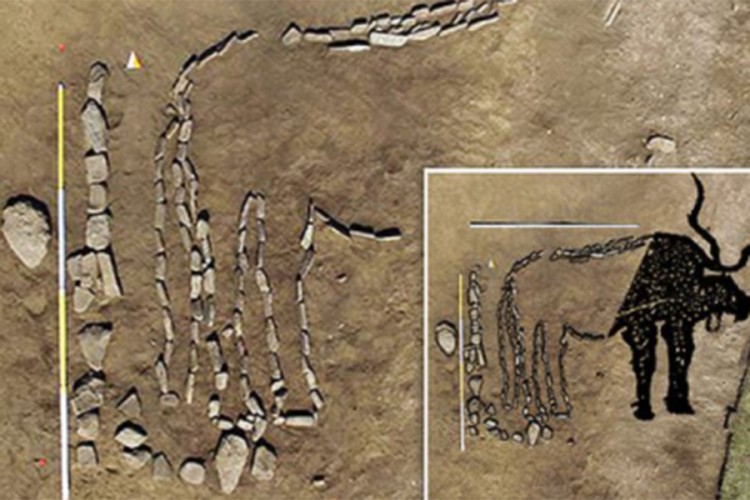 Pronađen prikaz bika star 4.000 godina