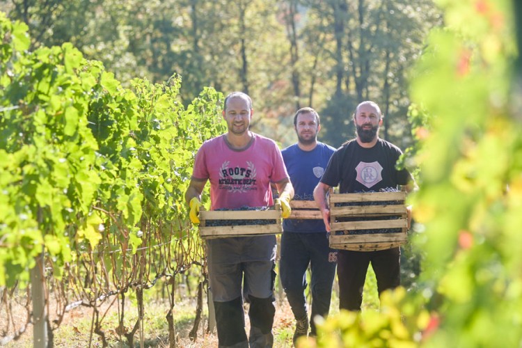 Mala porodična vinarija: Želimo da kupci osjete ljubav utkanu u svaki grozd