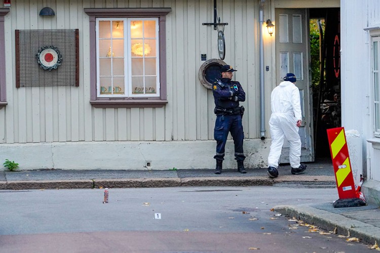 Napad lukom i strijelom u Norveškoj teroristički čin?