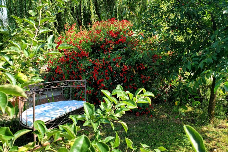Završena akcija "Biramo najuređenije": Najljepše dvorište u Motikama