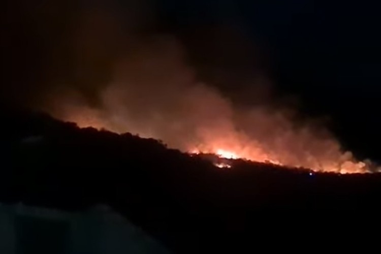 Požar kod Makarske, na terenu 90 vatrogasaca