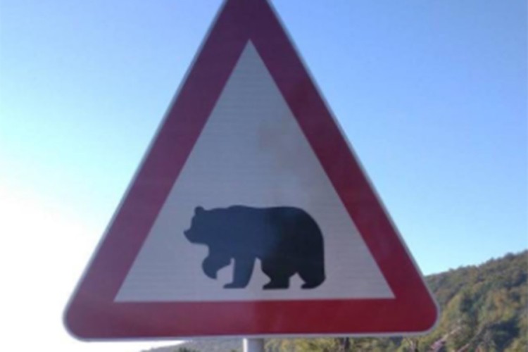 U BiH postavljen prvi znak "medvjed na putu - vozači, oprez"