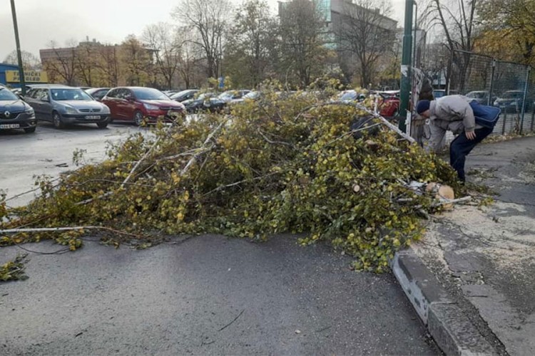 Snažan vjetar rušio stabla i nanio štetu u Sarajevu