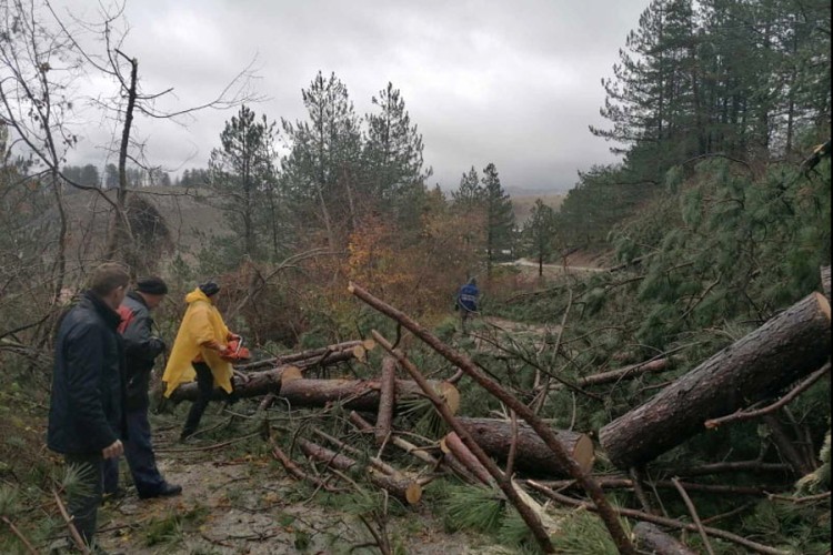 Obilna kiša praćena gradom oštetila objekte u Gacku, porušen stabla