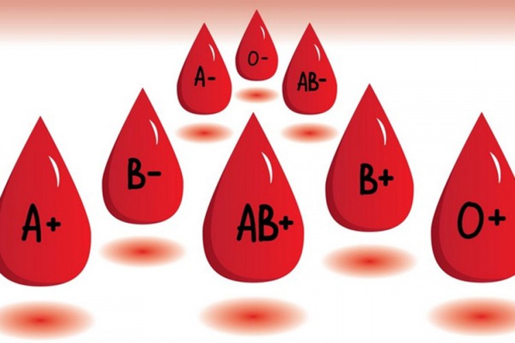Ko je otac krvnih grupa i zašto krv nije voda
