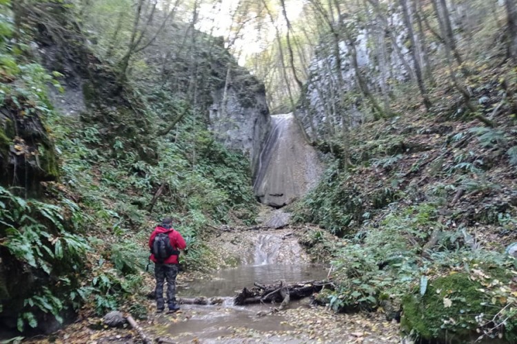 Čarobni bezimeni potok skriven stoljetnim šumama na području Sanice