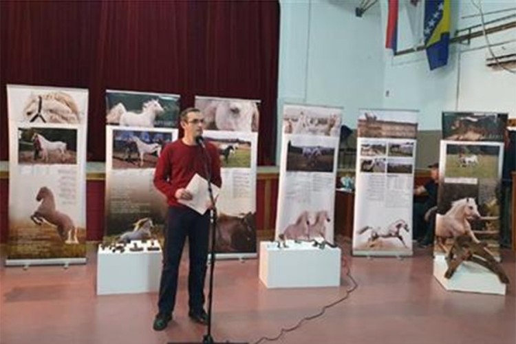 Mladen Stojanović: Imamo ambiciozan plan za prnjavorsku ergelu