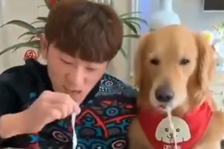 Takmičio se sa psom ko će prije pojesti rezanac, neočekivan epilog
