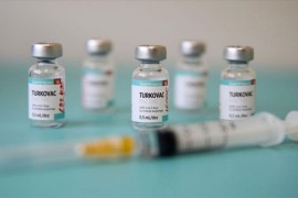 Turska vakcina turkovak dobila odobrenje za hitnu upotrebu