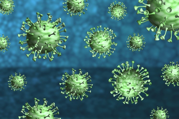 SZO: Svijet stvara toksične uslove širenje novih sojeva virusa
