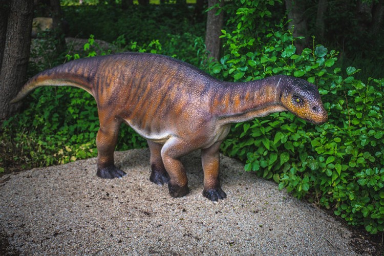 U Čileu otkriven neobičan dinosaurusov rep