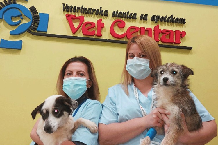 U decembru besplatna sterilizacija udomljenih pasa