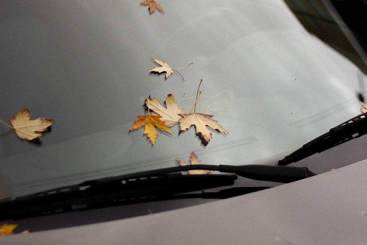 Može li lišće na vozilu da ošteti lak i boju