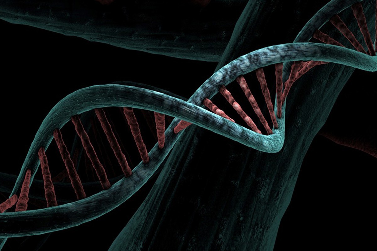 Otkriven neobičan izvor drevne ljudske DNK