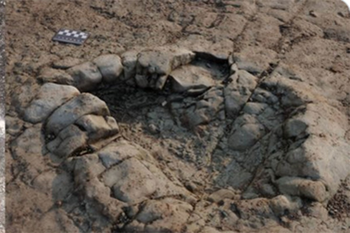 U Velsu pronađeni otisci stopala dinosaurusa stari 200 miliona godina