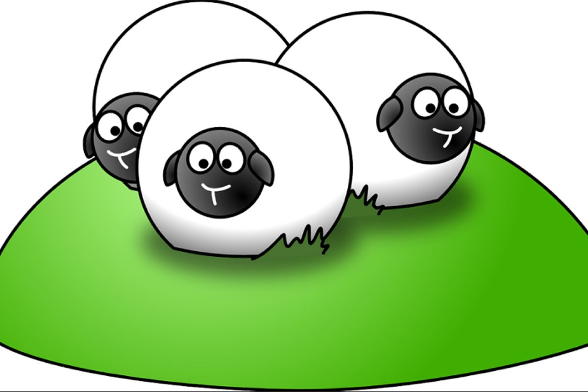 Vic dana: Baba i ovce