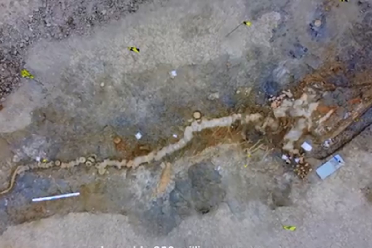 U Engleskoj otkriven fosil "morskog zmaja" dug 10 metara