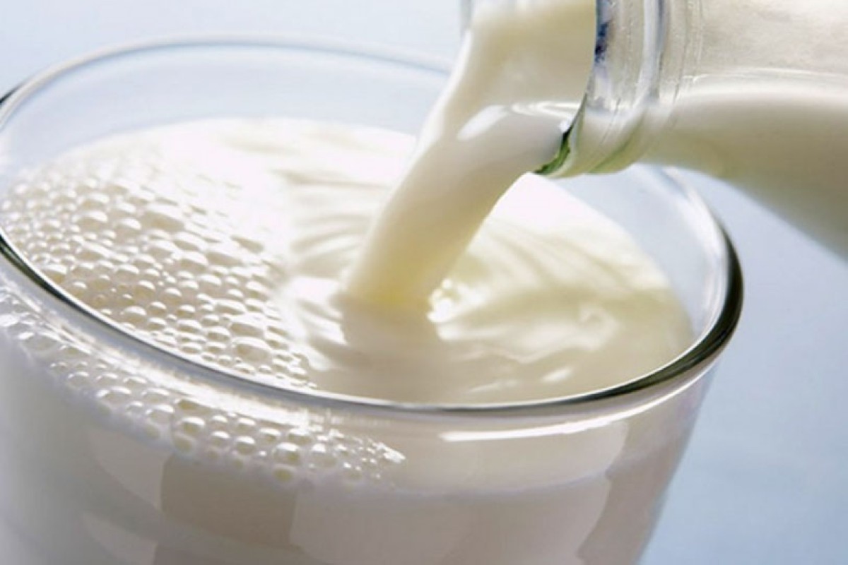Uvoz i rast cijena mlijeka vode ka zatvaranju farmi