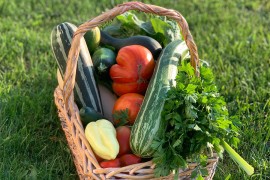Birajte sezonske namirnice za zdraviju okolinu i bolje zdravlje