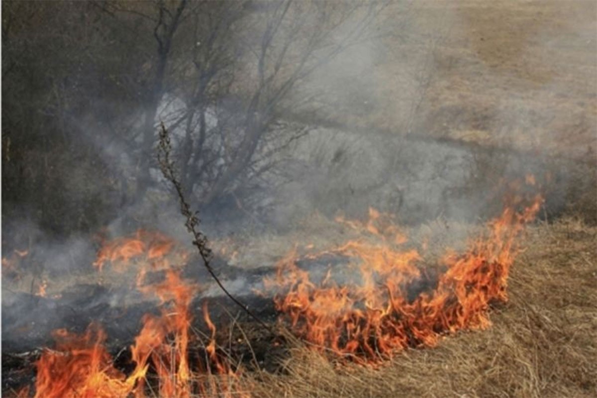 Vatrogasci iz šume u plamenu izvukli starca