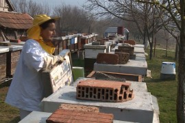 Zekija Kozlica uspješna u pčelarstvu punih 15 godina
