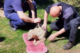 Kakanjski vatrogasci spasili psa iz bunara koji je dva dana bio u vodi
