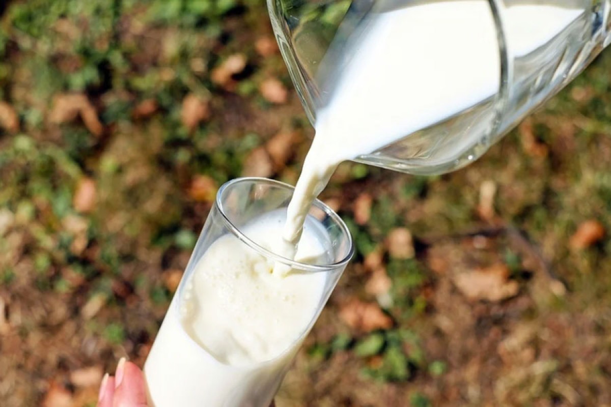 Isplaćeno više od 2,1 milion KM premije za mlijeko