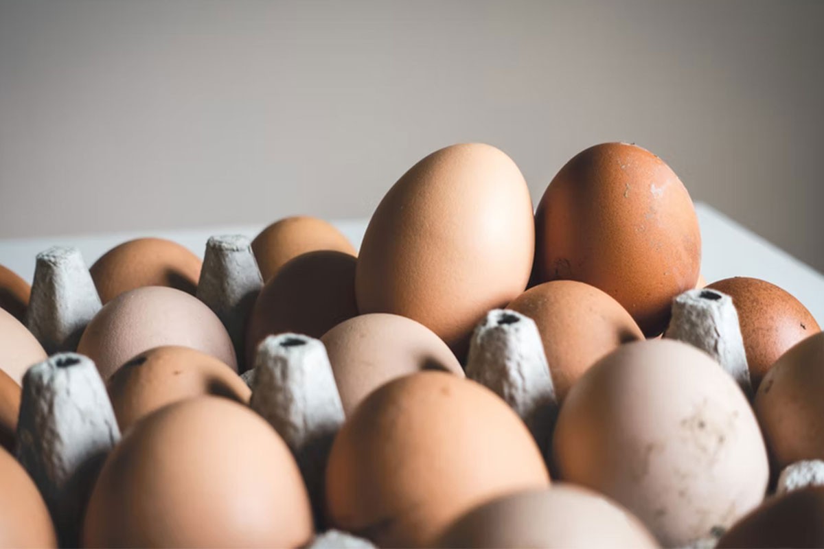 Evo zašto ne bi trebalo držati jaja u vratima frižidera