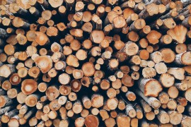 Zabrana izvoza drvnih sortimenata mogla bi spustiti cijene ogreva u BiH