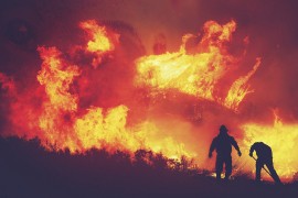 Veliki šumski požar na grčkom ostrvu Eubeji, evakuisano selo