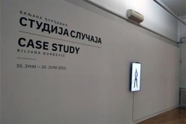 Otvorena izložba "Studija slučaja"