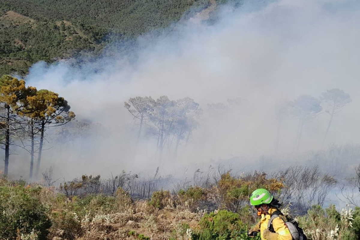 Veliki požar u Španiji, evakuisane hiljade ljudi