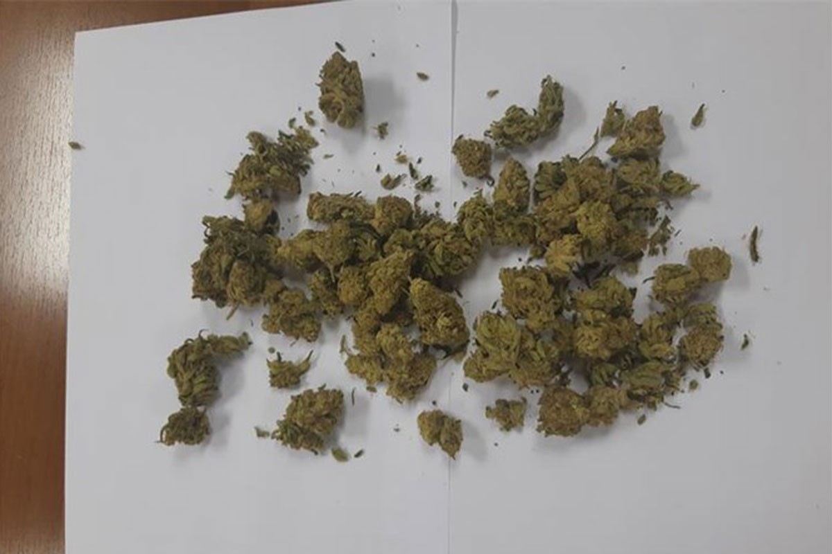 Otkriveni laboratorija, pola tone stabljika i 16 kg marihuane