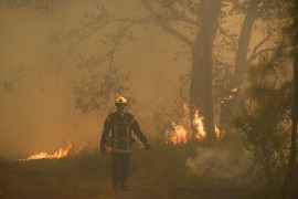 Požari u Evropi - klimatske promjene utiču na sve
