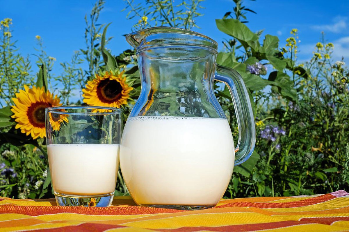 Pokvareno mlijeko - odlična prihrana i zaštita biljaka