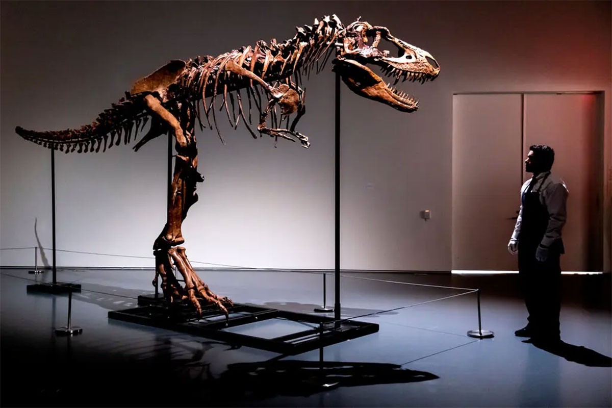 Skelet dinosaurusa prodat za više od šest miliona dolara