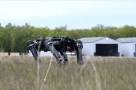 Amerika "regrutuje" pse robote za vojsku