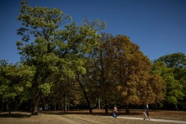 Suša spržila travu, osušila vegetaciju u parkovima Evrope