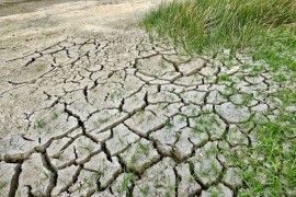 Proglašena prirodna nepogoda zbog suše u šest gradova i 16 opština u Hrvatskoj