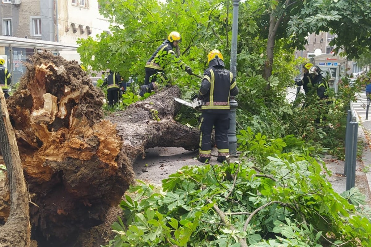 Drvo palo na ženu u Zagrebu