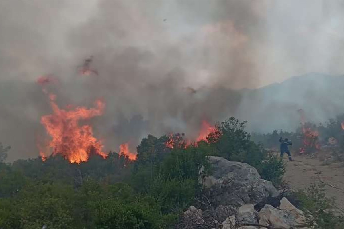 Požarna linija u Neumu ogromna, ugrožava stanovništvo i objekte