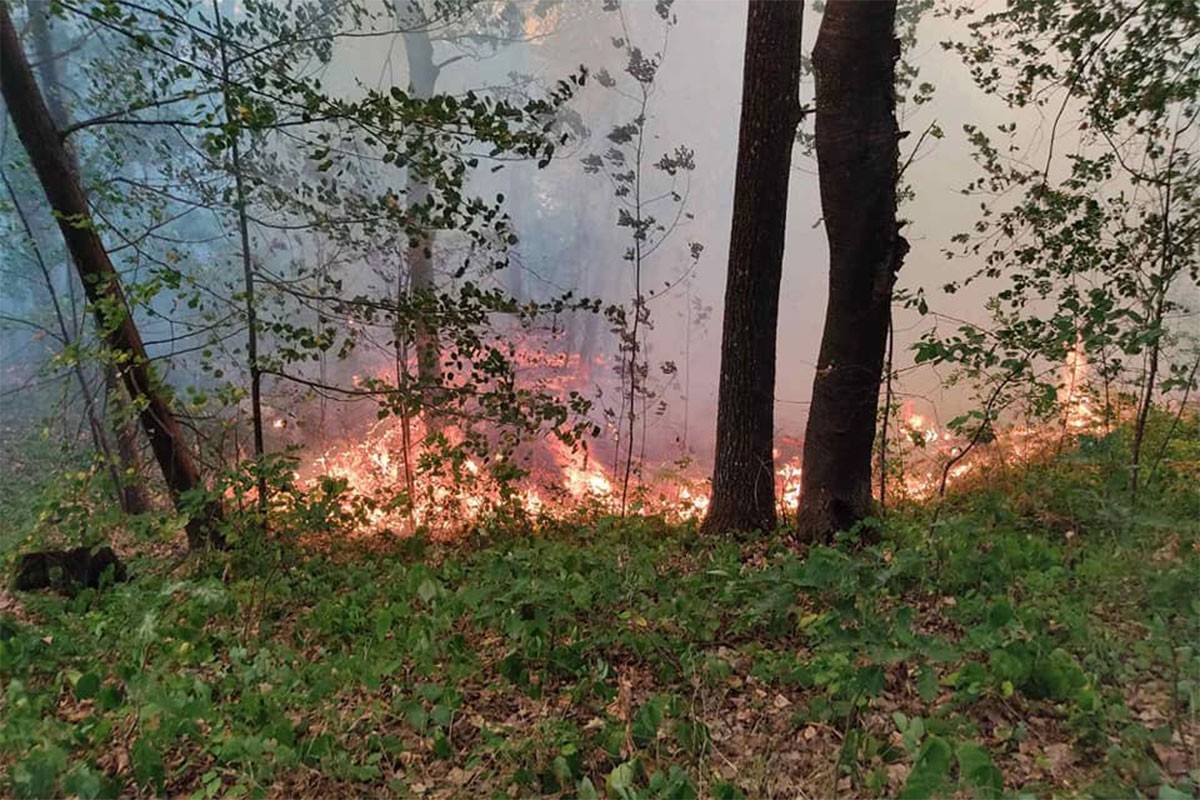 Traje borba s vatrom na Vrbanjskim brdima, u zoru pomaže Helikopterski servis