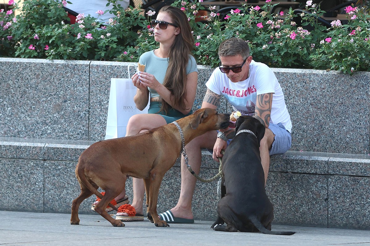 U centru Zagreba podijelio sladoled sa psima, prizor oduševio prolaznike