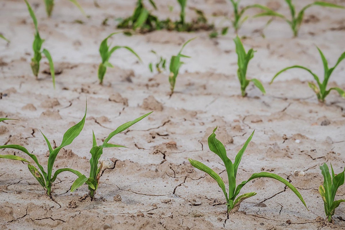 U BiH dolaze periodi duge suše, poljoprivredu čeka borba za vodu